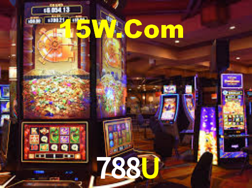 Programa VIP 788U
